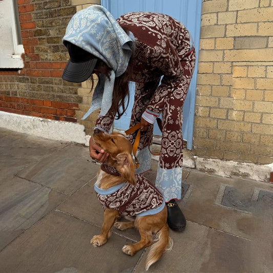 Chocolate Bandana Dog Jumper | Never Fully Dressed Trending