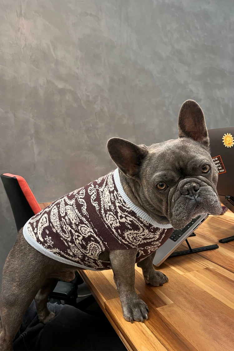 Chocolate Bandana Dog Jumper | Never Fully Dressed Trending